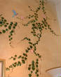 Wall_Art/vines2.jpg